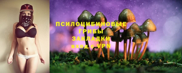PSILOCYBIN Бородино