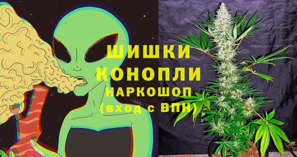 PSILOCYBIN Бородино