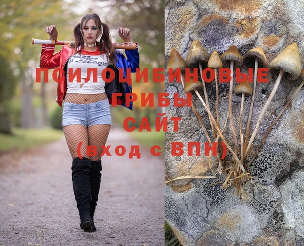 PSILOCYBIN Бородино