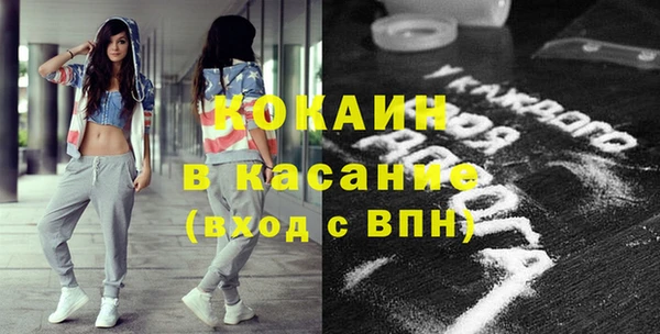 PSILOCYBIN Бородино