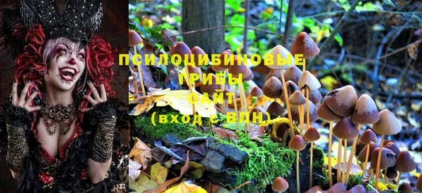 стаф Верхний Тагил