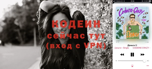 PSILOCYBIN Бородино