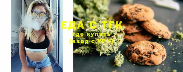 PSILOCYBIN Бородино